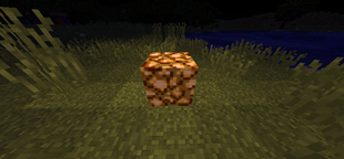 1000758453.png