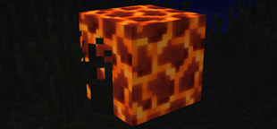 1000758455.png
