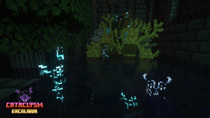 Coralssus