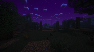 2026-06-01_07.03.10.png