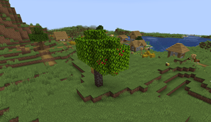apple tree.png