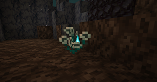 soul rose.png