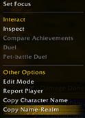 CNR-CopyMenuButton.png