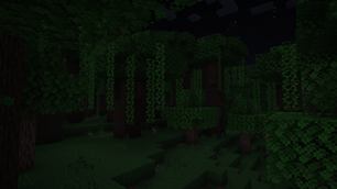 A Dark Forest at night