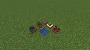 plant pots