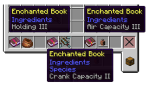 Name Changes