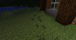 The Footsteps