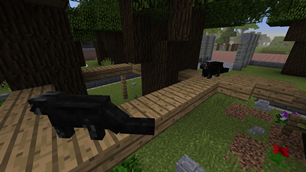 Binturong