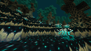 Forest Floor