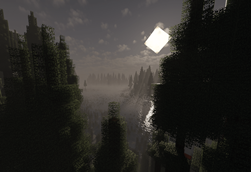 Forest.png