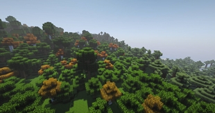 whitedew.jpeg