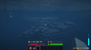 underwater_srceen.png