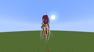 The Kraken