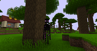 Player was stucked by enderman in forest.png