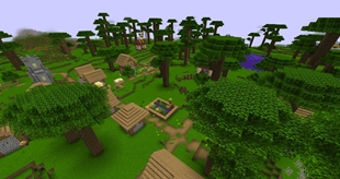 Village in Game Over World