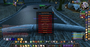 WoWScrnShot_060426_230003.jpg