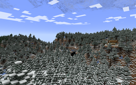 Birds Eye View