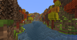 Autumn Forest