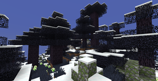 Darkwoods