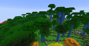 Eucalyptus Forest