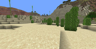 Lush Desert