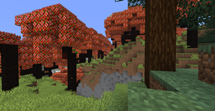 Red Cherry Forest