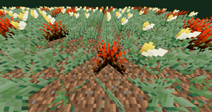 2026-06-03_15.24.25.png
