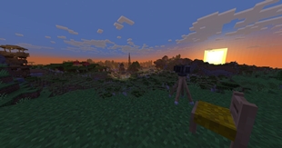 camera.jpg
