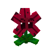 Meteor_Flowermin800.gif