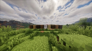 Logs