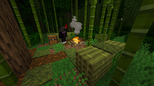 Bamboo Forest.png