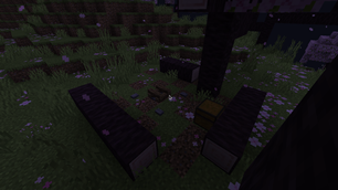 Cherry Forest.png
