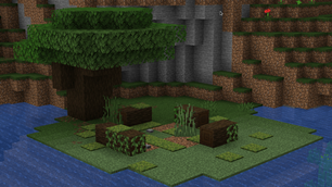 Dark Oak Forst.png