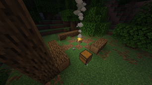 Forest.png