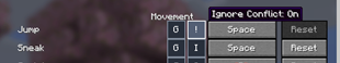 [1.2.0+] Keybinds with Ignore Conflict ON