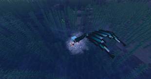 beta version of a diving animation