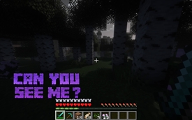 Can you see me.jpg