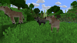 Nilgai