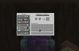 Trade with Custom Villager