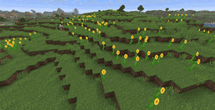 variants_of_crops_v1.1.0.gif