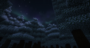 Snowy Trees