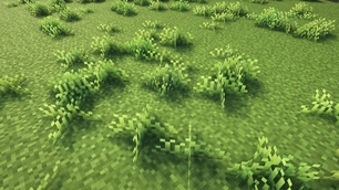 Blue grass