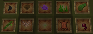 loot pool