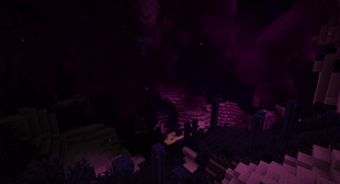 1119.png