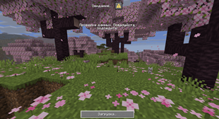 Connecting to the server