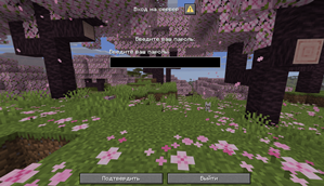 login to the server