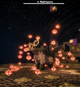 Alpha Mightyena