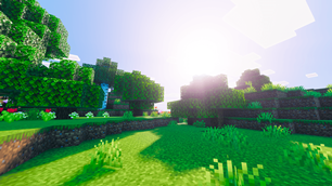 Screenshot 21