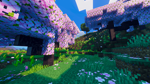 Screenshot 24