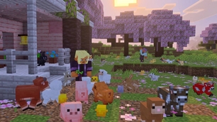 Baby Animals
